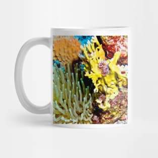 Sea Anemone and Coral Wall Collage Mug